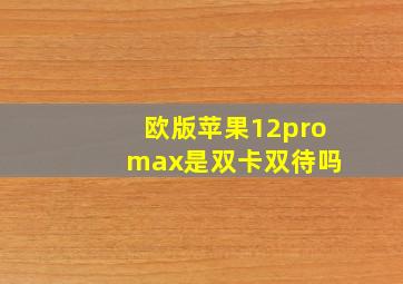 欧版苹果12pro max是双卡双待吗